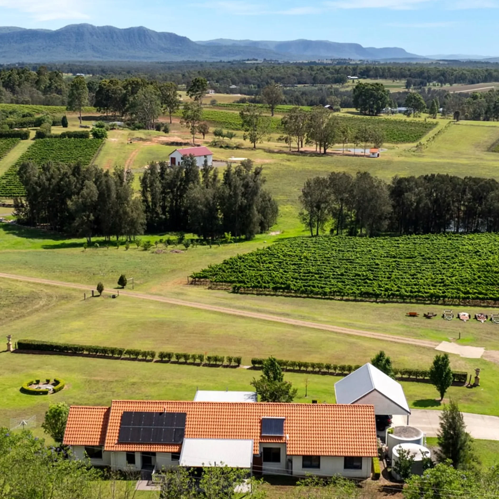 vineyard with mountains and retreat