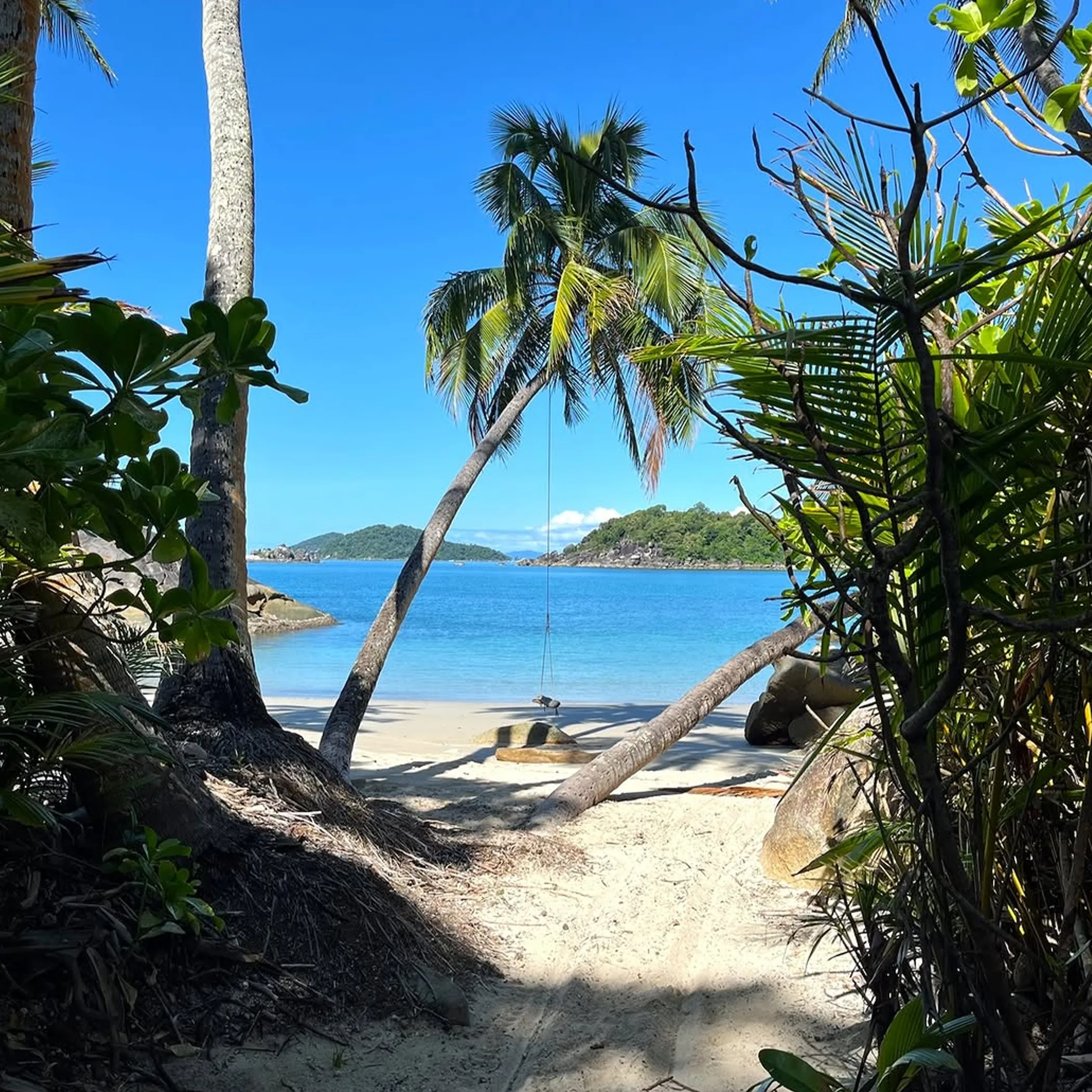 palm-lined beach and island waters