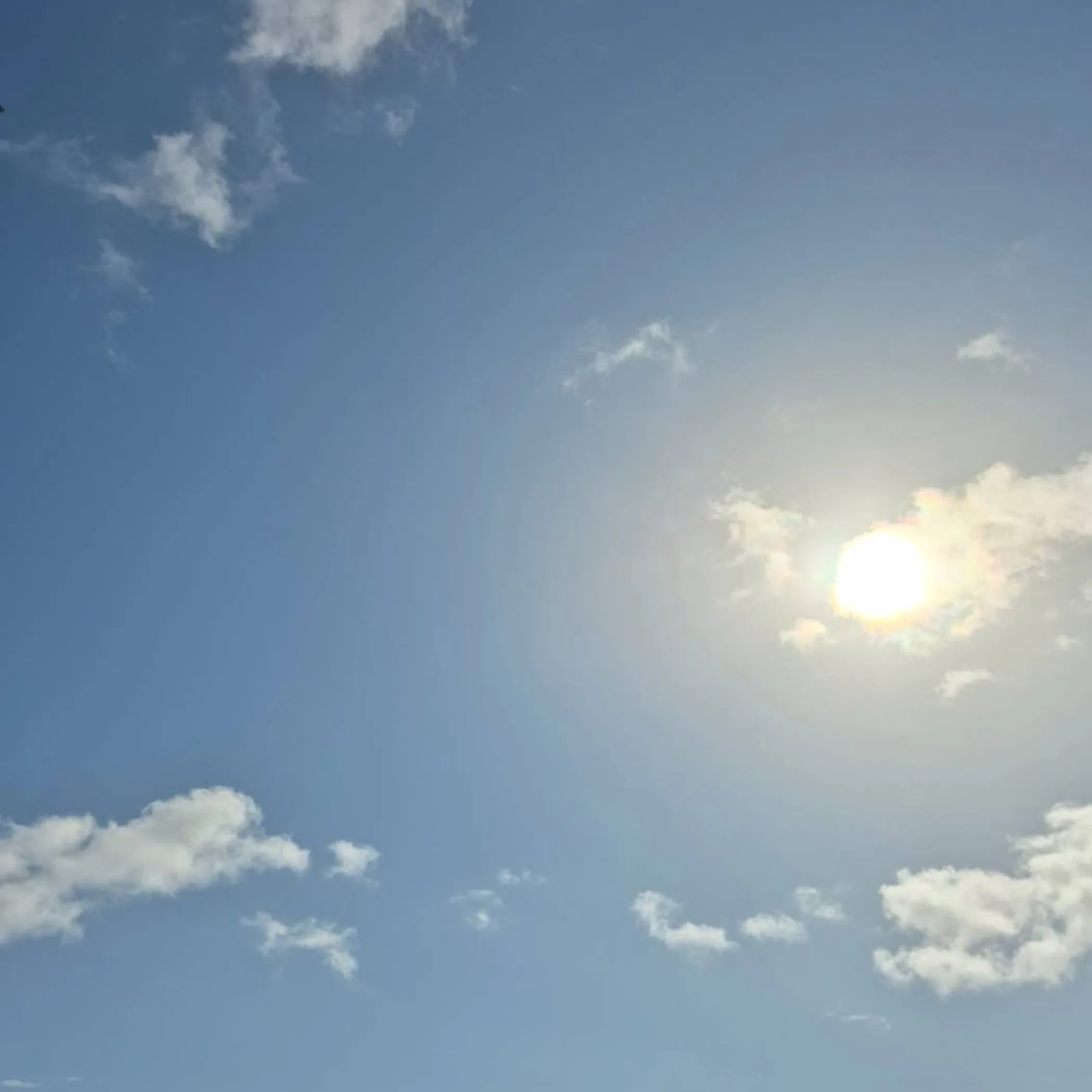 weather conditions for festival planning