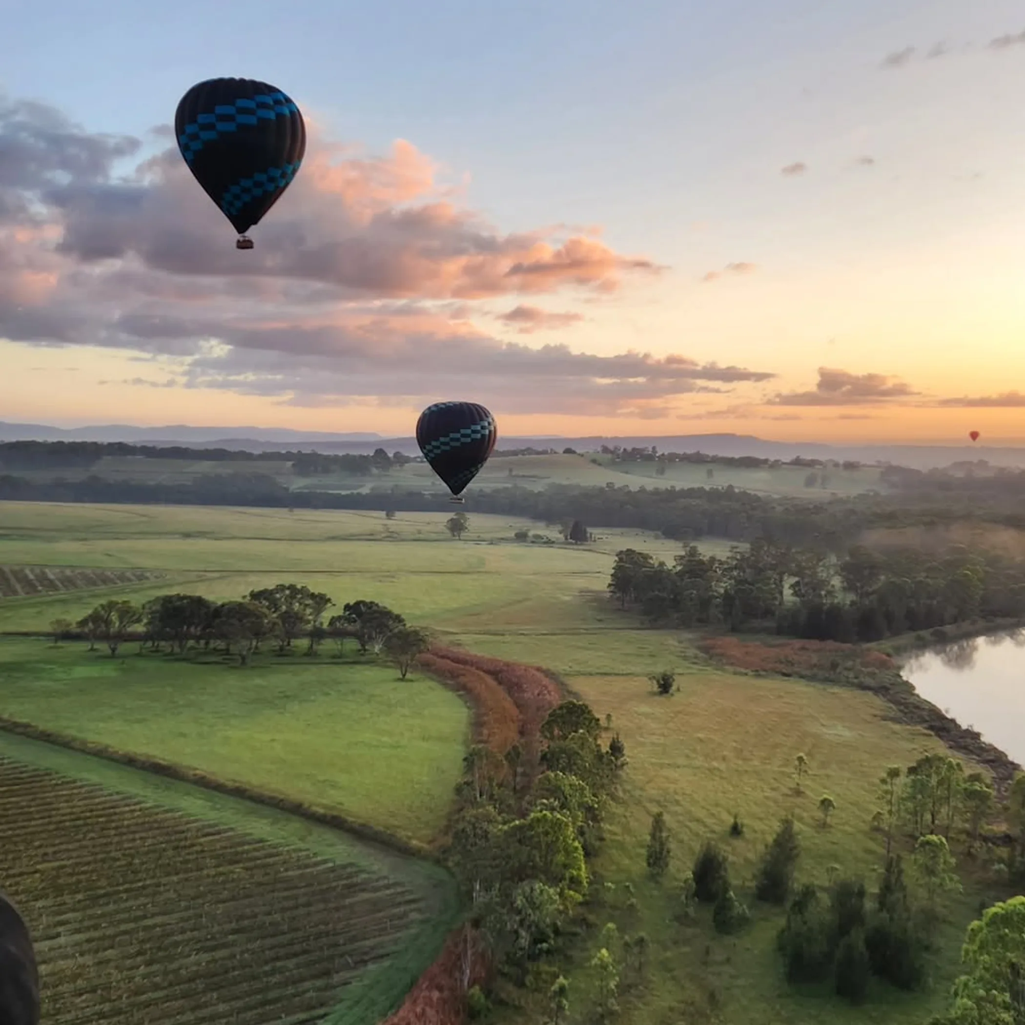 hunter valley vineyards with hot air balloons