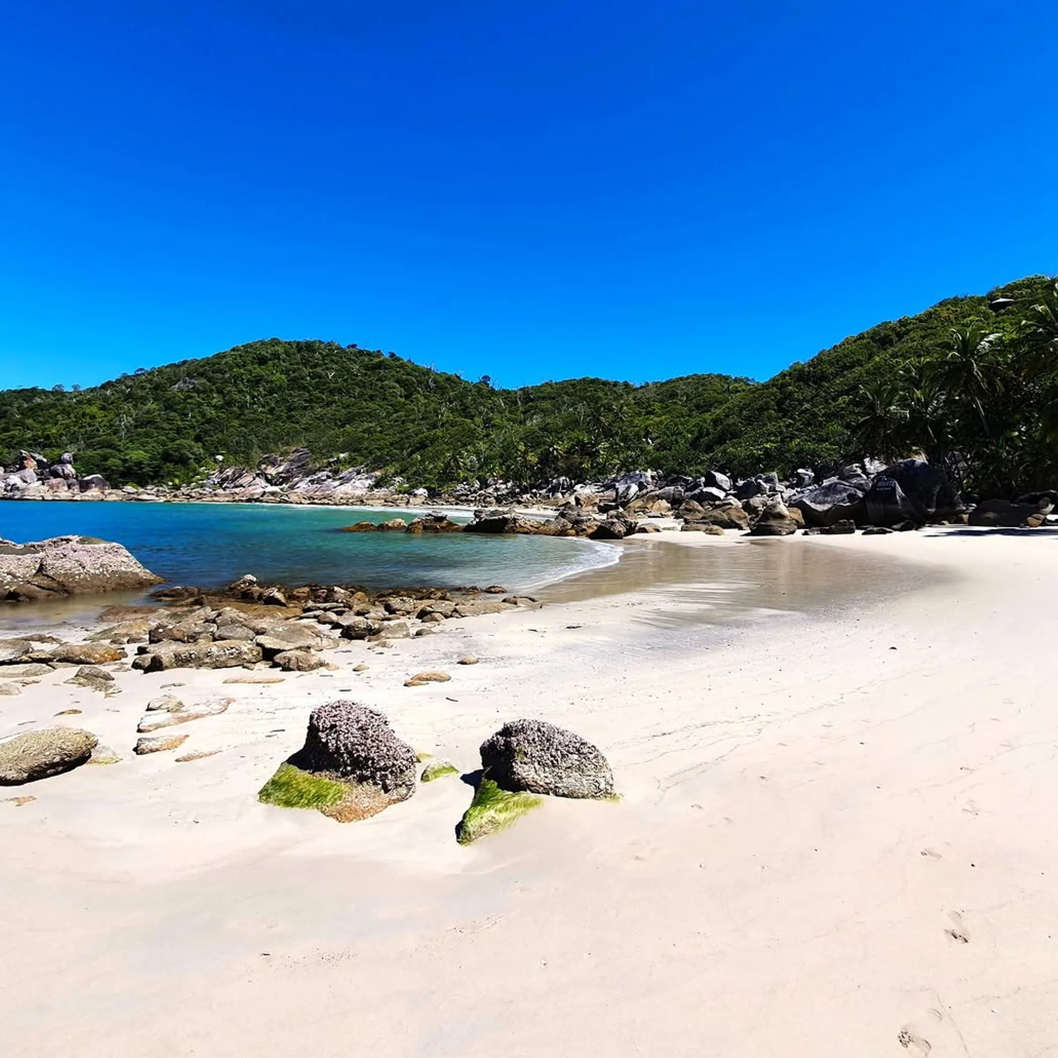 beach photograph matching bedarra island