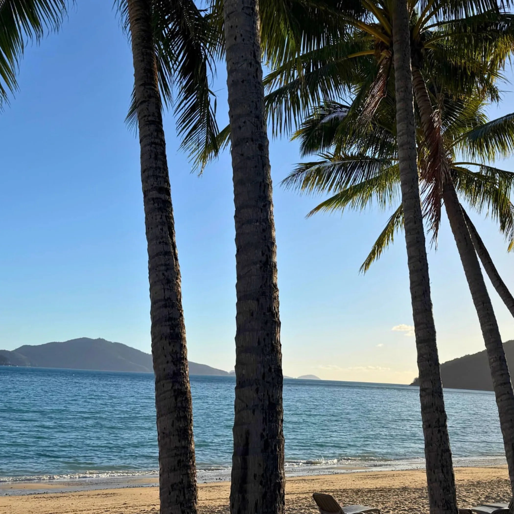australian island beach on clear day